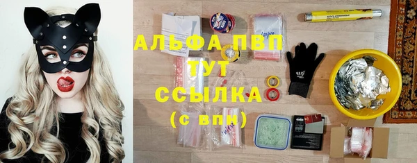 скорость Бородино